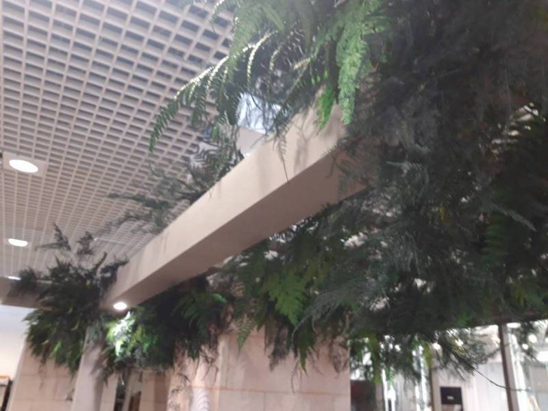 La profusion des fougères stabilisées symbolisent les sous-bois des Landes.