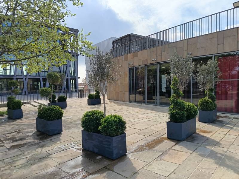 Le style des jardins à la française donne le ton de l'ambiance pour les espaces dinatoires du GTP d'Aix.