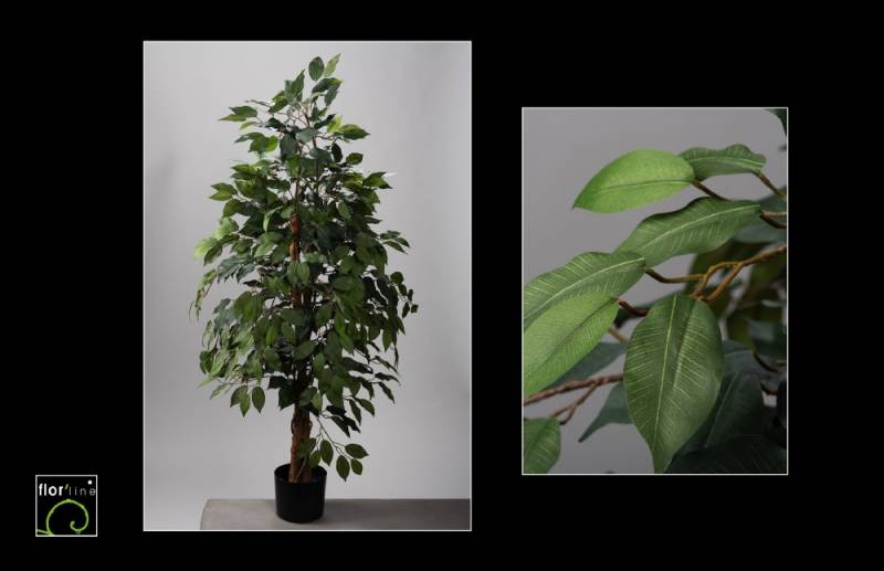 Ficus benjamina artificiel vert hauteur 120 cm ref 120 cm prix  109 €
