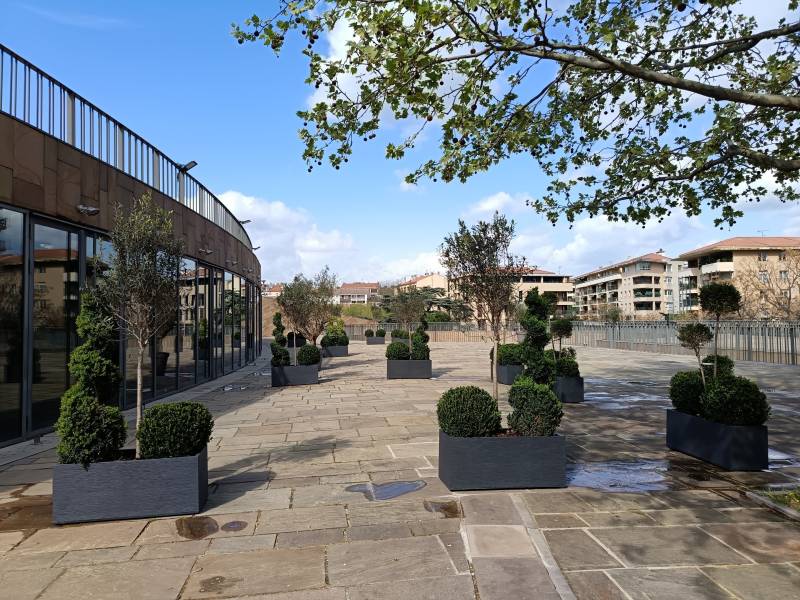 Belle vue sur la perspective et l'alignement des jardinières en plans parallèles pour délimiter les espaces du GTP;