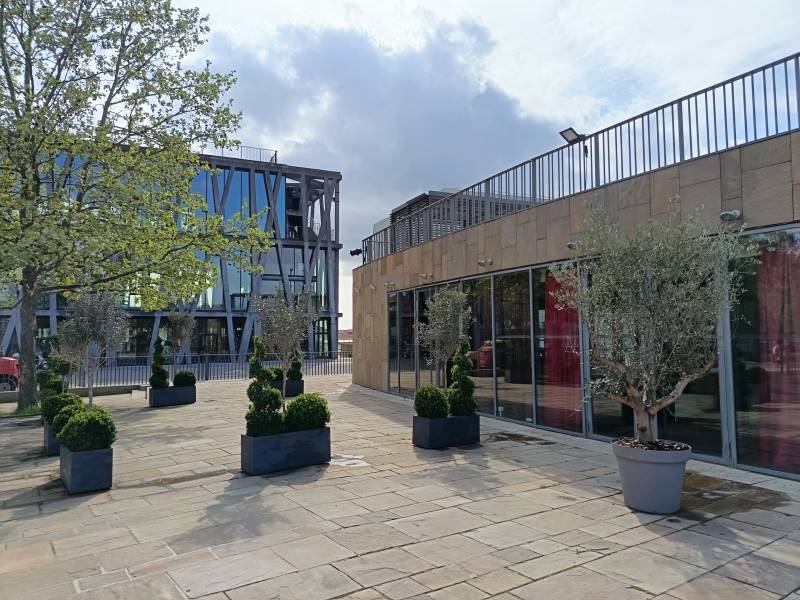 L'espace VIP du Teddy Bar ou une moquette rouge accueillera le public.