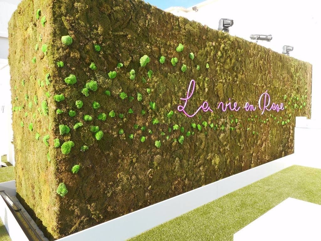 la mise en lumière par le sol et par le haut permet de sublimer le mur de végétaux éphémère.