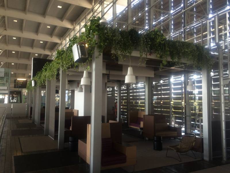 Le linéaire de verdure apportent chaleur dans un moment zen de détente.