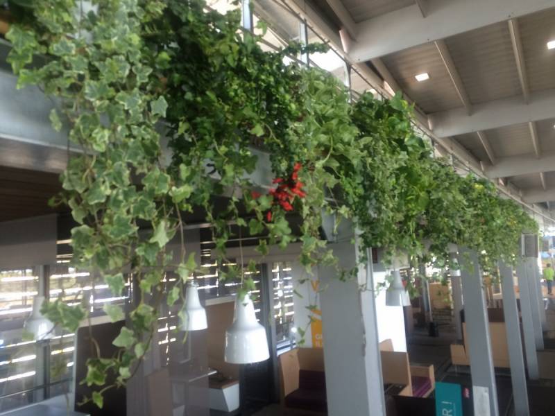 Les longueurs des retombées végétales doivent bien être estimées pour un effet escompté.