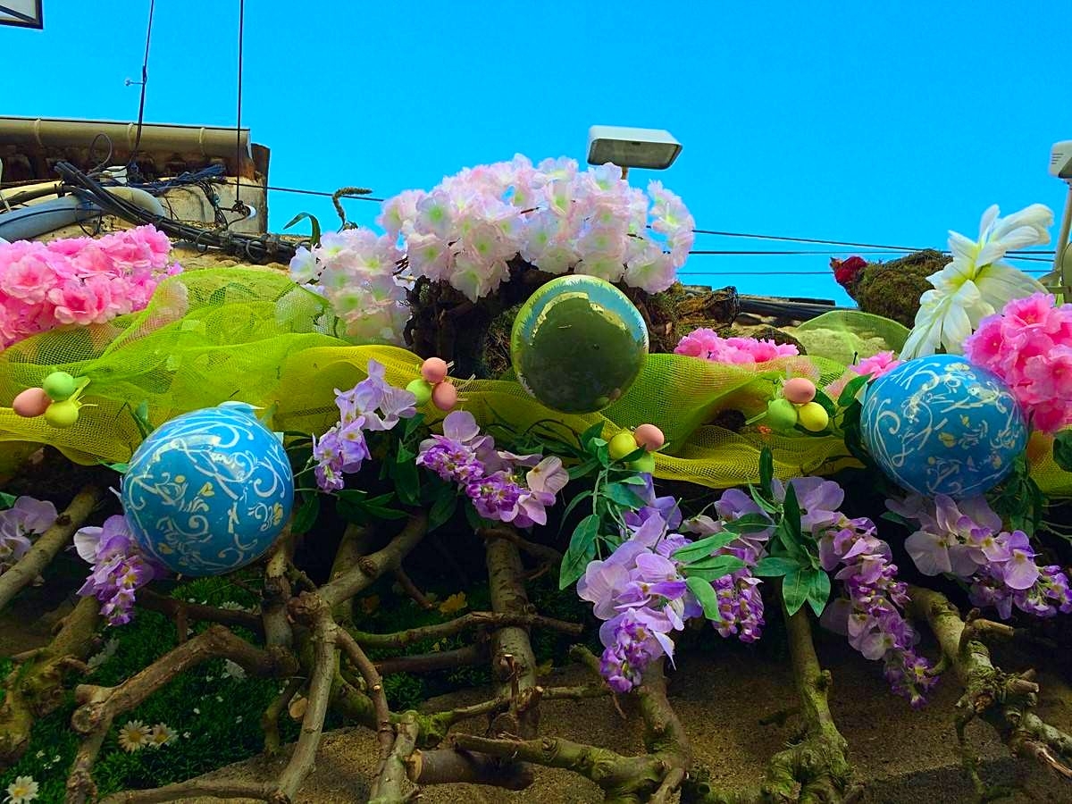 fleurs de printemps pour votre décoration de vitrine de commerce dans le 13