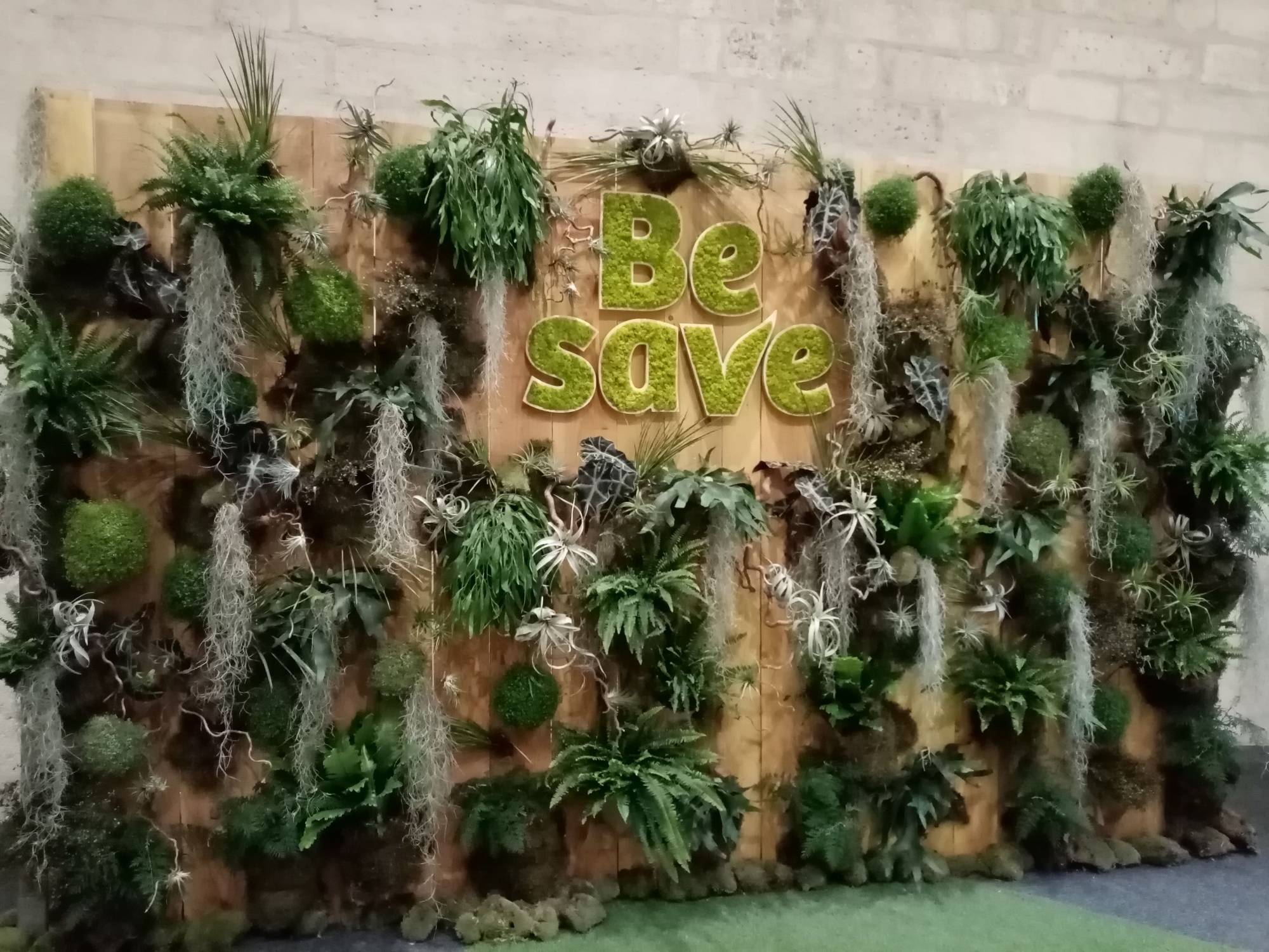 les plantes en suspension sont maintenues sur le mur de végétaux sur un fond de bois