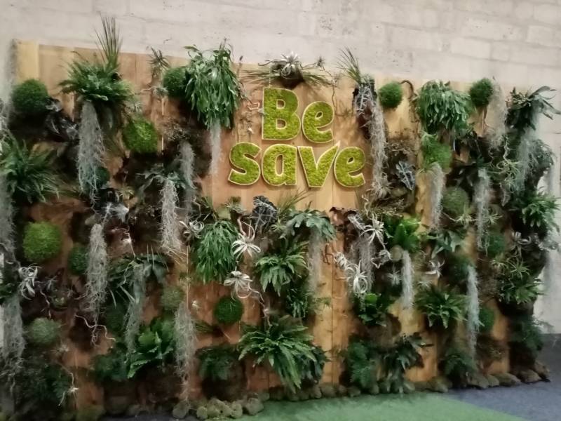 Le mur végétal de plantes naturelles est inspiré des bacs de plantes très zen.