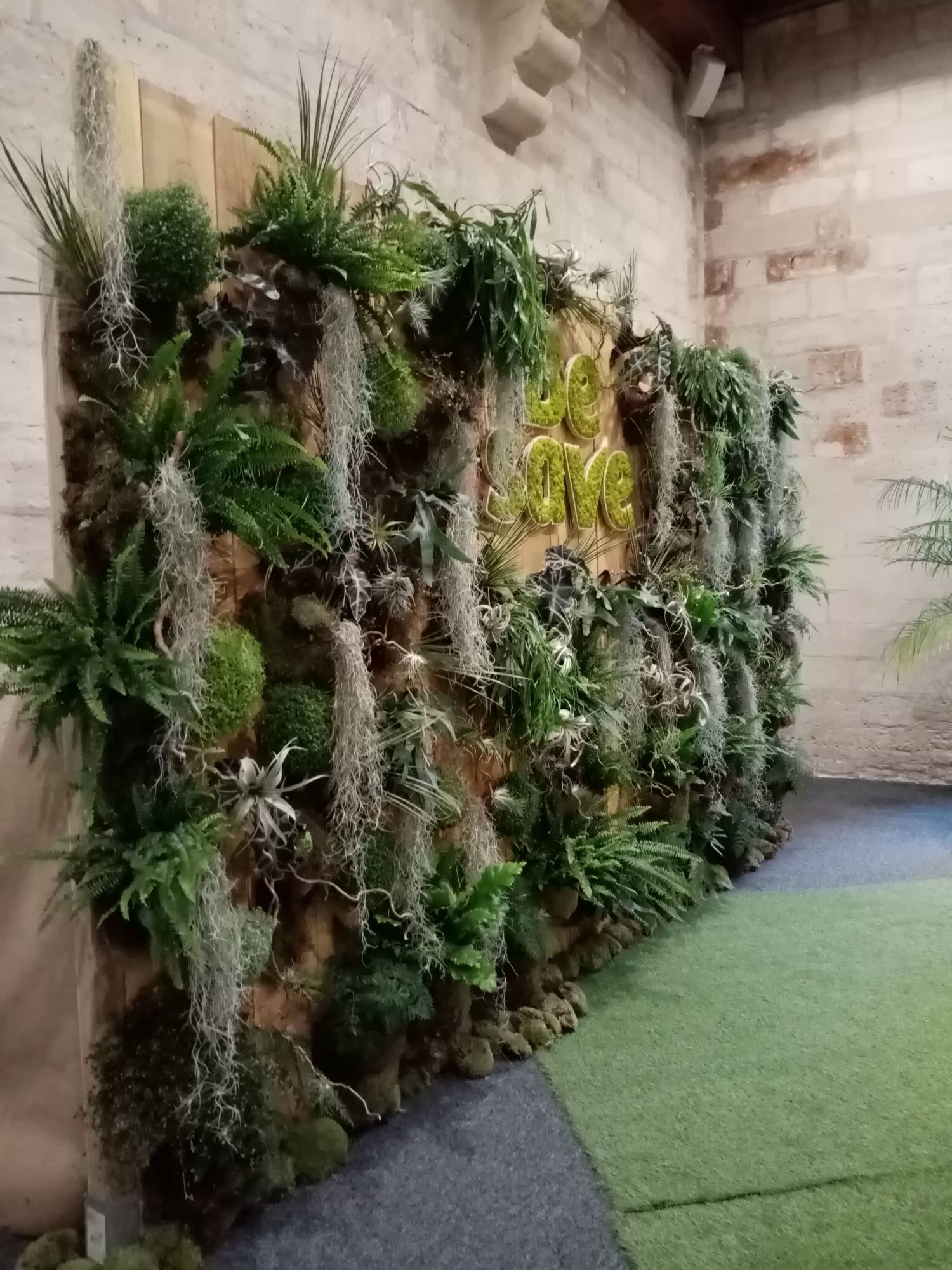 Ce mur de plantes naturelles de feuillages et de verdure a été réalisé au Palais des Papes pour événement sur Avignon