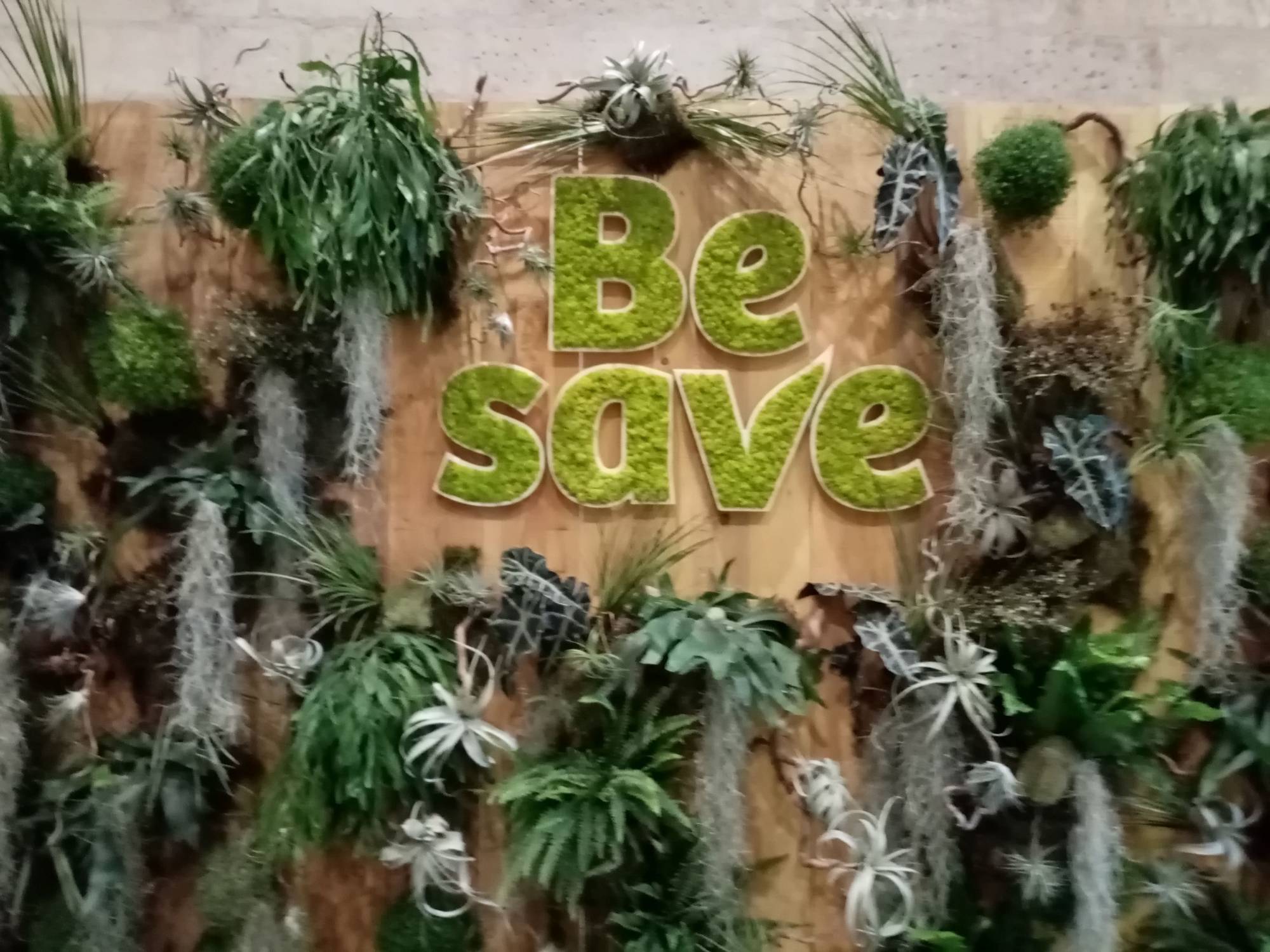 le logo du thème et de l'ambiance est remplit de mousse d'islande vert anis sur le mur de végétaux