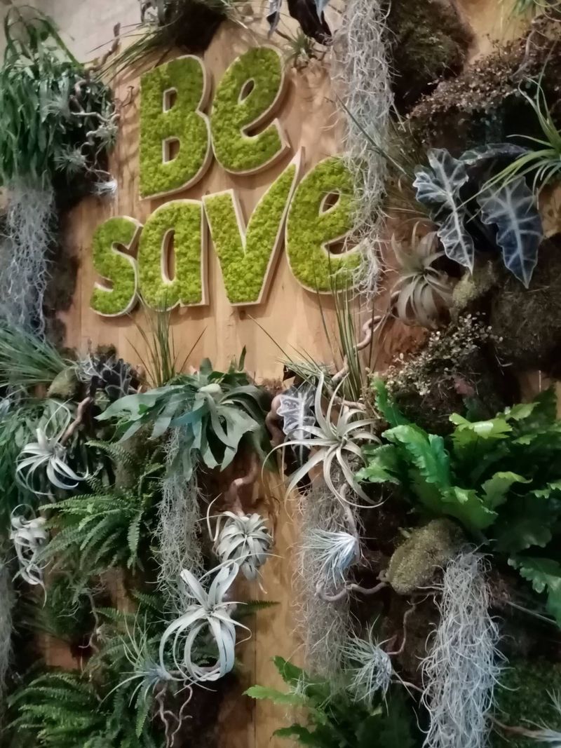 Ce mur de plantes naturelles de feuillages et de verdure a été réalisé au Palais des Papes pour événement sur Avignon