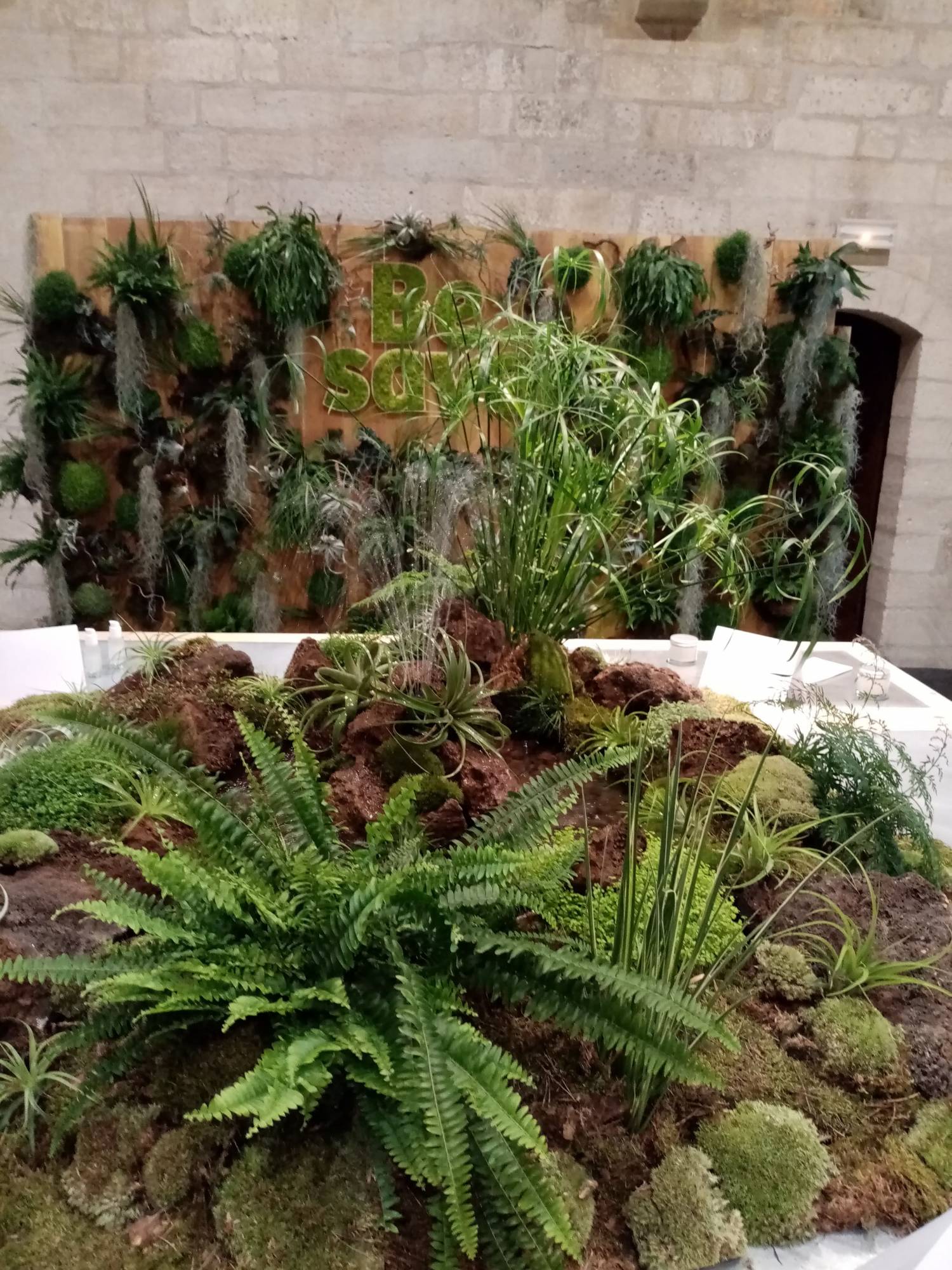 Ce mur de plantes naturelles de feuillages et de verdure a été réalisé au Palais des Papes pour événement sur Avignon