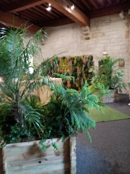 Les bacs de plantes sont disposés dans les angles de la salle.