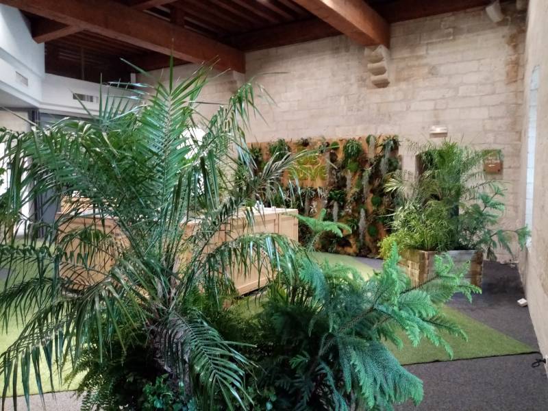 Les essences végétales hautes sont identiques pour les bacs.