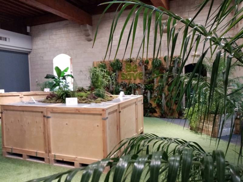 Les plantes hautes profitent de la hauteur des plafonds de la salle.