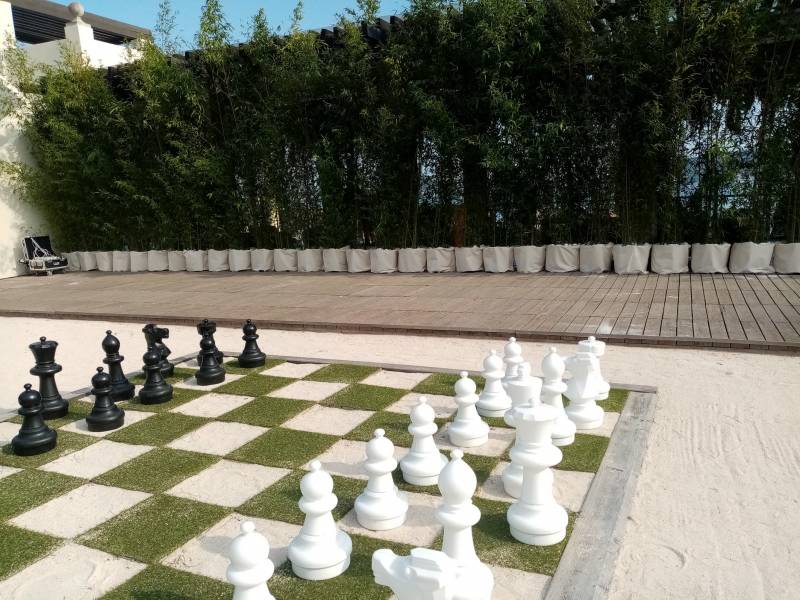 Phyllostachys aurea un bambou de choix pour vos terrasses.