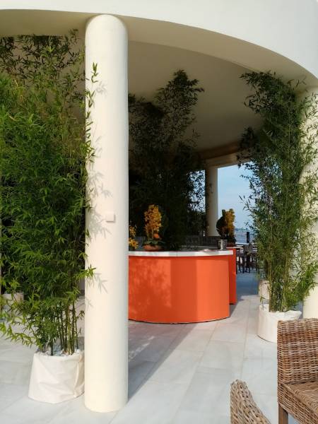 Les colonnes sont mises en valeur grâce aux hauteurs des bambous.