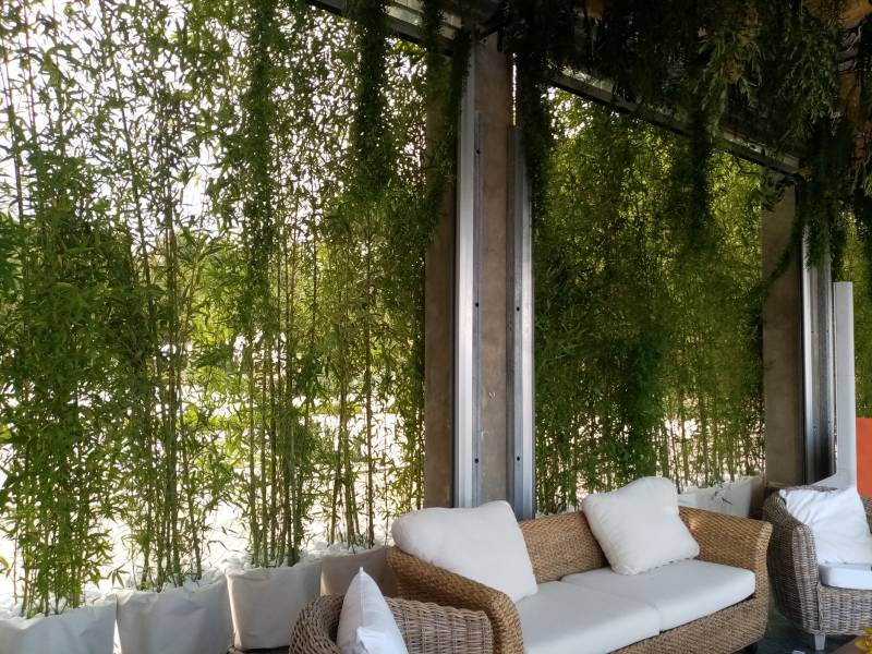 Les coins salons sont verdoyants et intimes.