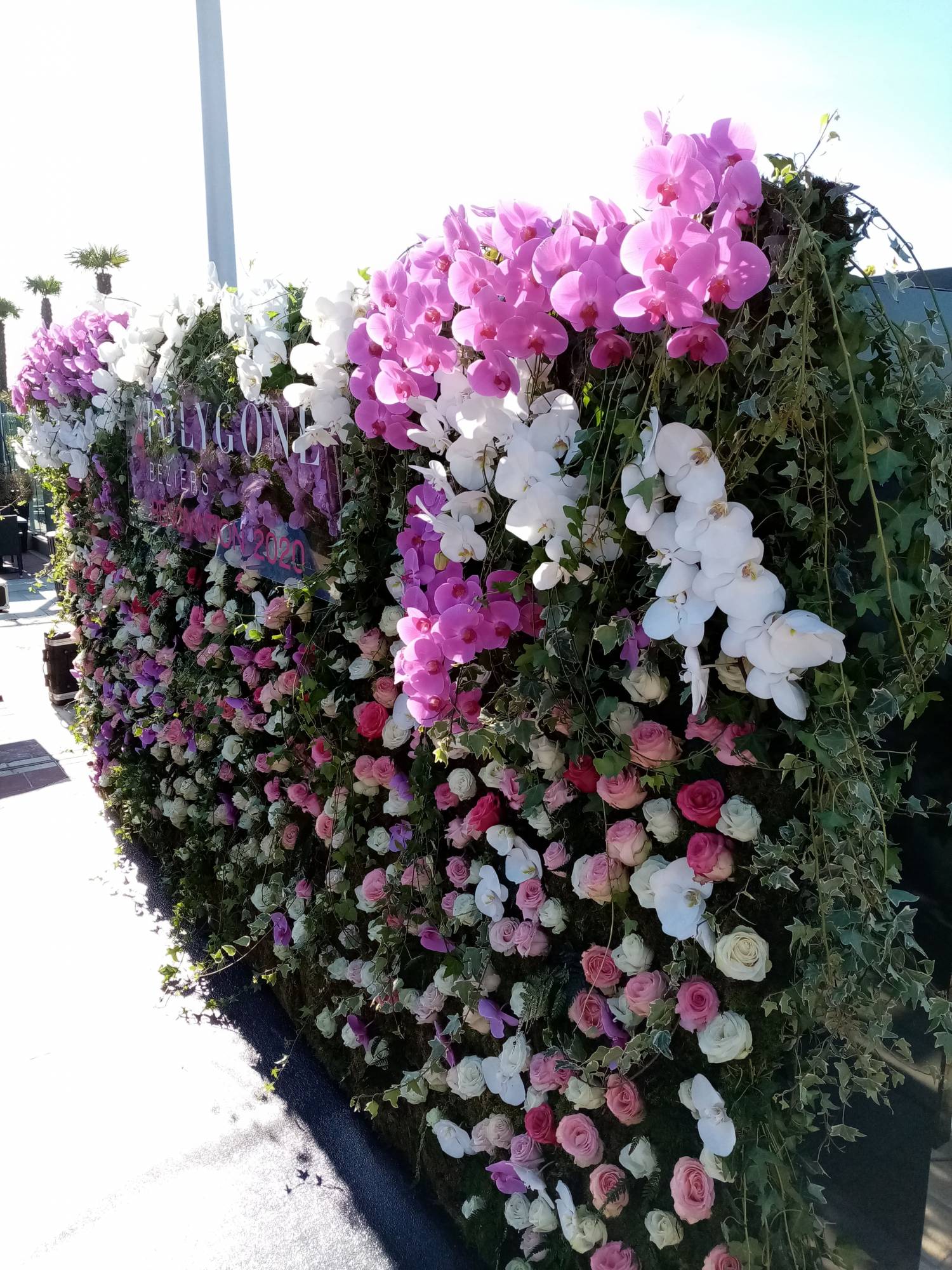 orchidée phalaenopsis rose et blanc pour donner du relief au mur de fleurs