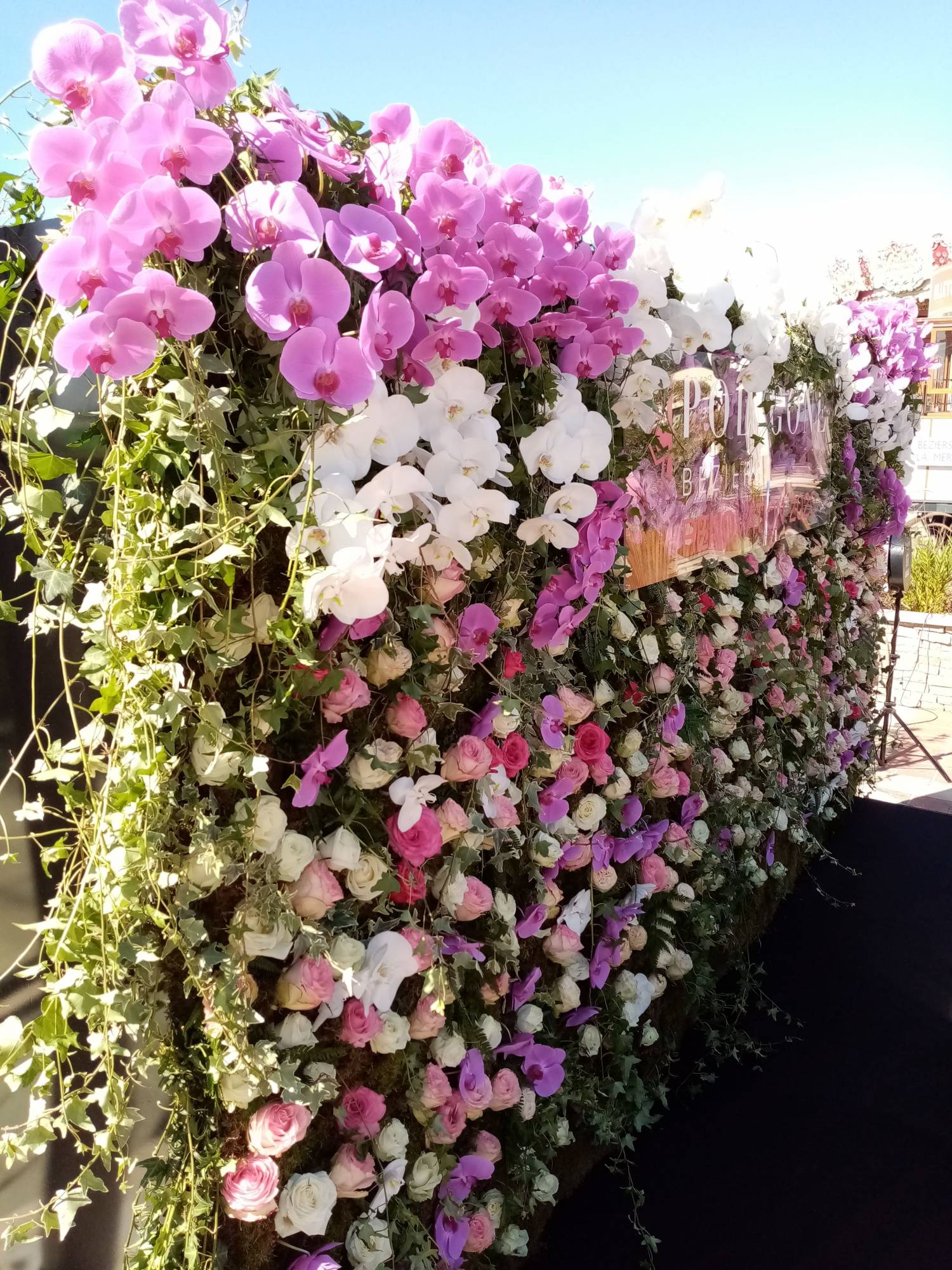 mur de fleurs orchidée et roses pour événement à Polygone Bésiers