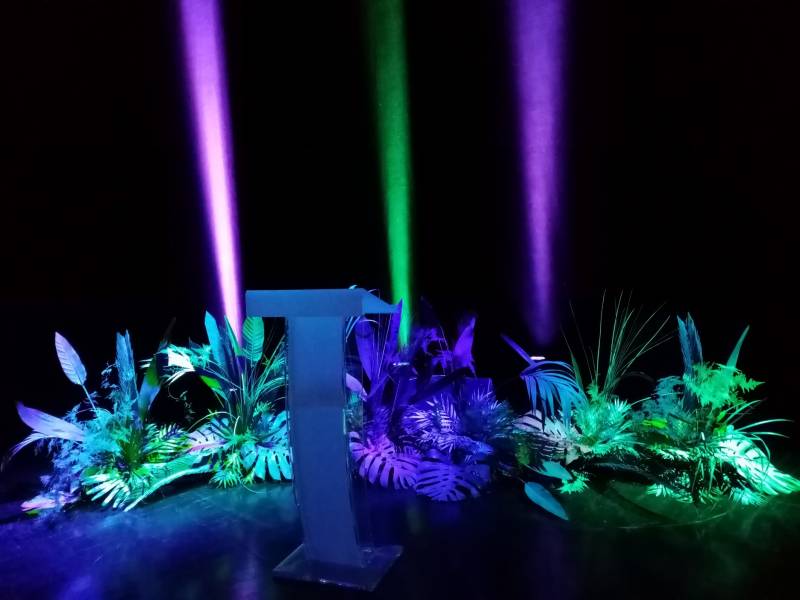 Vous rêvez d'une nature de jungle luxuriante extraordinaire pour votre scène événementiel.