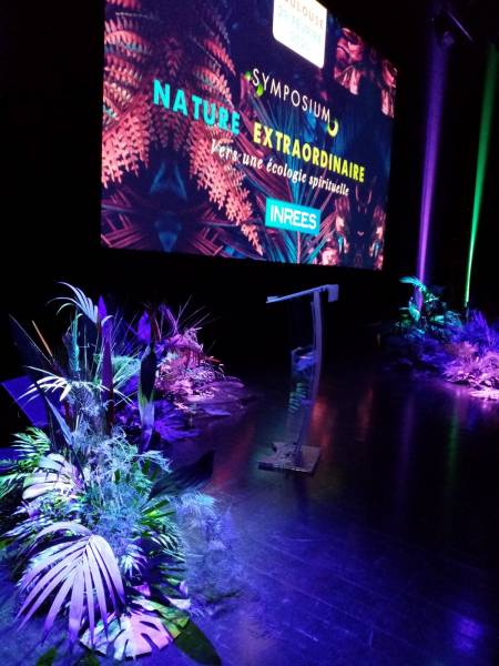 Vous rêvez d'une nature de jungle luxuriante extraordinaire pour votre scène événementiel.