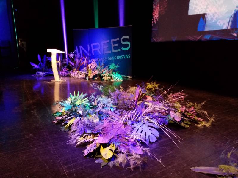 Vous rêvez d'une nature de jungle luxuriante extraordinaire pour votre scène événementiel.