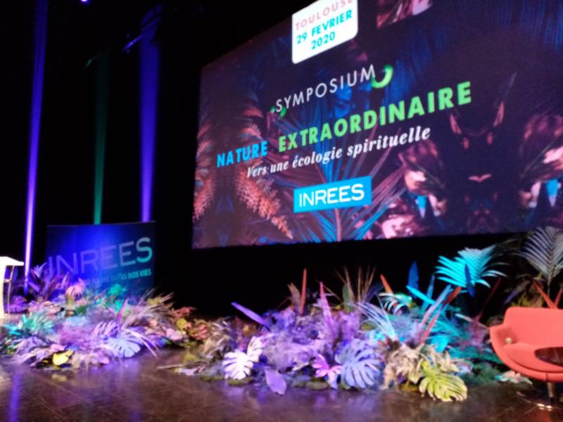 Vous rêvez d'une nature de jungle luxuriante extraordinaire pour votre scène événementiel.