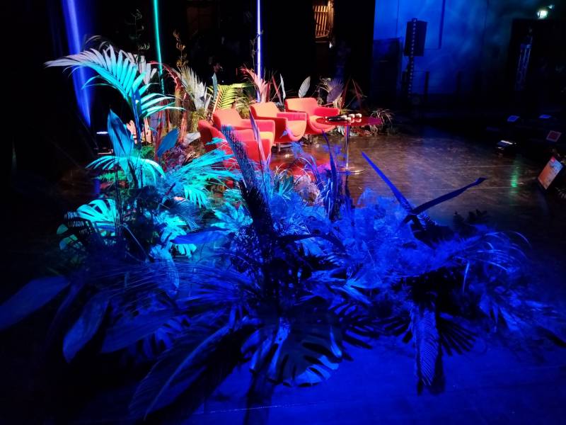 Vous rêvez d'une nature de jungle luxuriante extraordinaire pour votre scène événementiel.