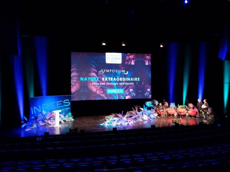 Vous rêvez d'une nature de jungle luxuriante extraordinaire pour votre scène événementiel.