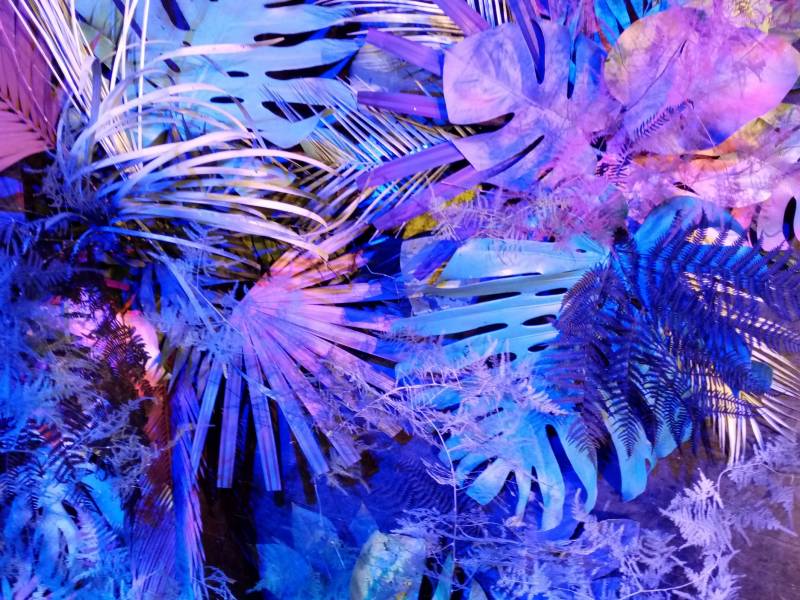 Vous rêvez d'une nature de jungle luxuriante extraordinaire pour votre scène événementiel.