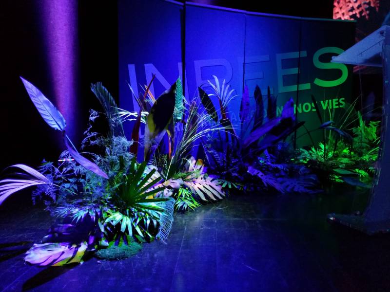 Vous rêvez d'une nature de jungle luxuriante extraordinaire pour votre scène événementiel.