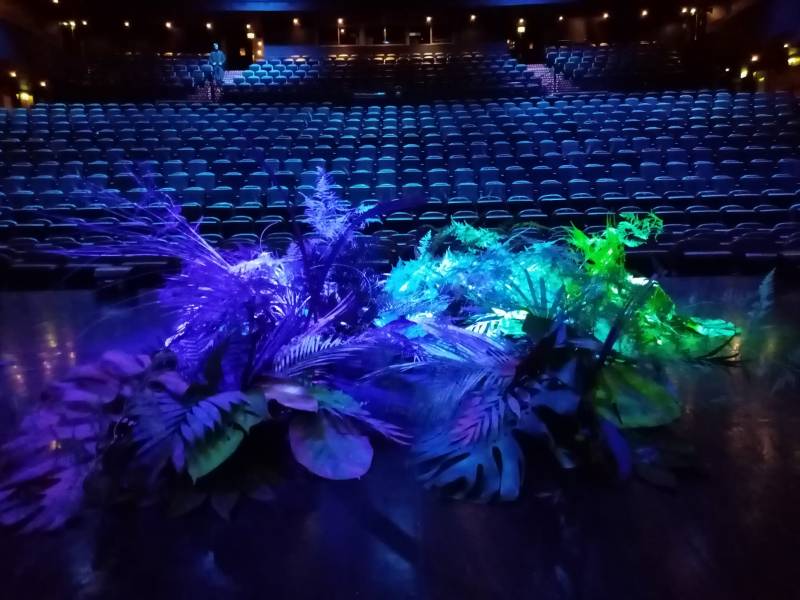 Vous rêvez d'une nature de jungle luxuriante extraordinaire pour votre scène événementiel.