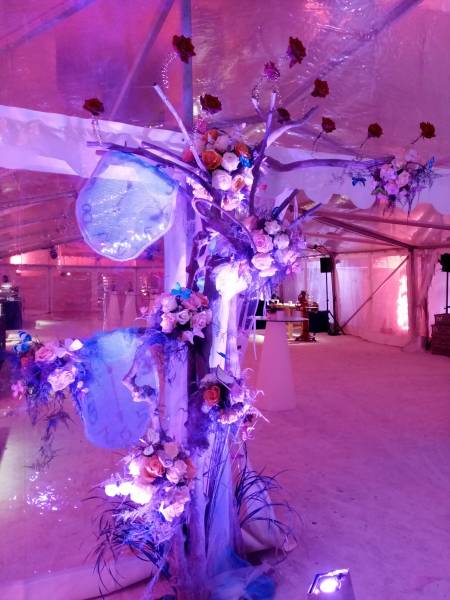 Création florale pour inauguration et vernissage en Provence Alpes Côtes d'Azur.