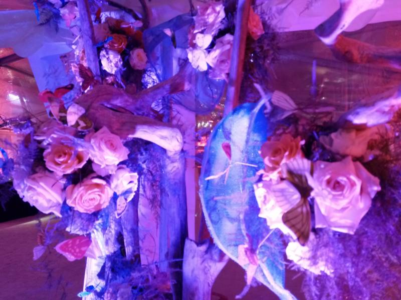 Création florale pour inauguration et vernissage en Provence Alpes Côtes d'Azur.