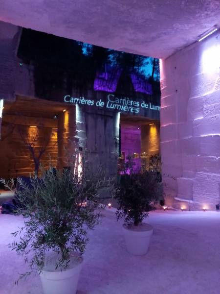 Création florale pour inauguration et vernissage en Provence Alpes Côtes d'Azur.