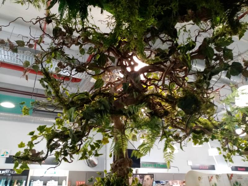 Un arbre de vie quel plus beau symbole de résilience.