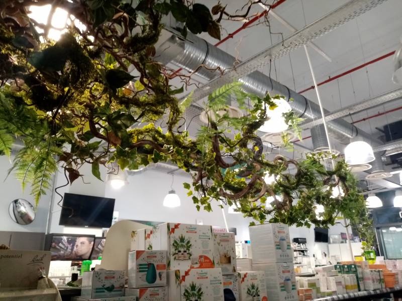 Création végétale et ou florale suspendue et murale d'étalagiste de magasin et commerce en paca