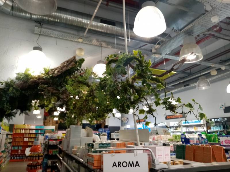 Liane en suspension telle la nature dans les mains de l'homme.