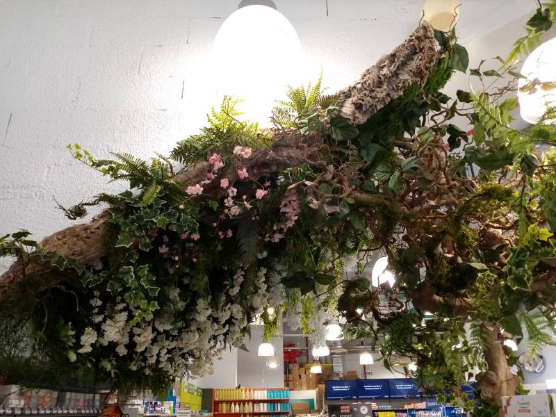 Un mur suspendu de verdure en guise de grotte luxuriante.