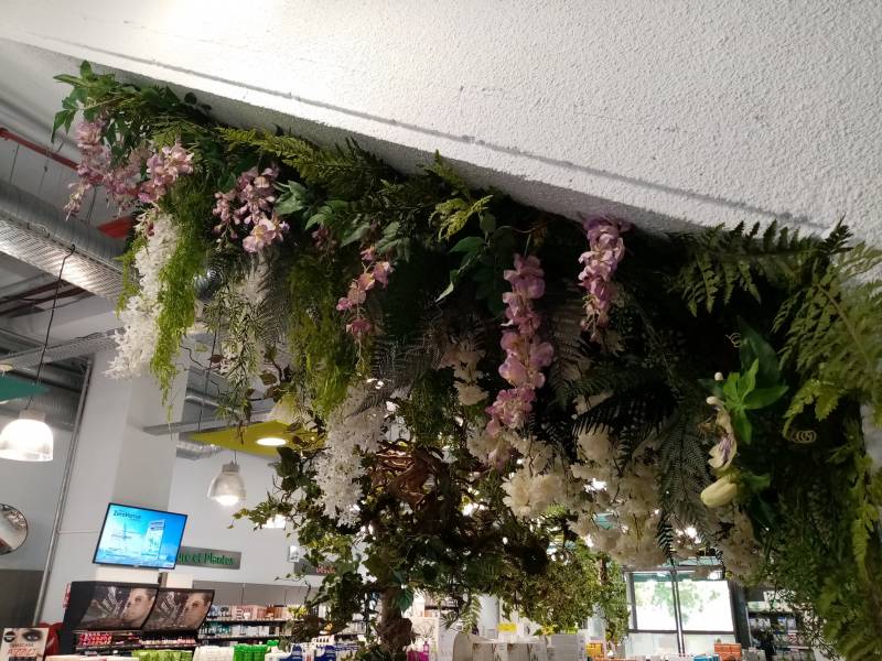 Les cascades de fleurs dégoulinent des parois emmoussées.