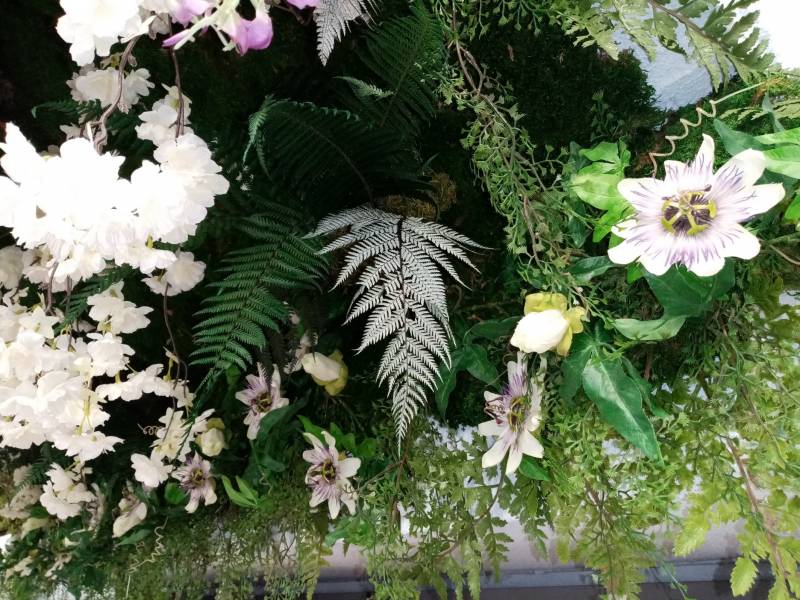 Les passiflores fleurs utiles en para pharmacie.