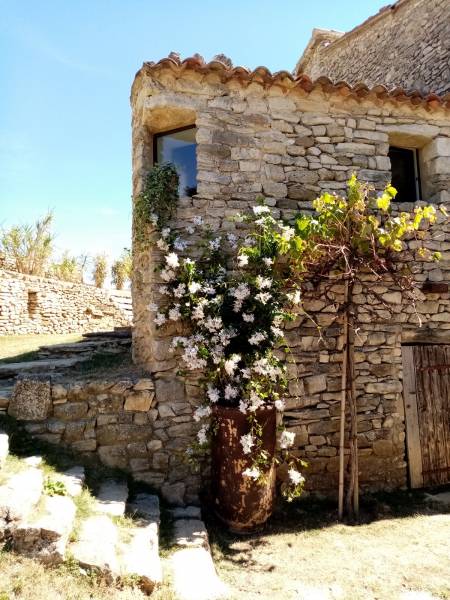 Des grands jasmins blancs reconstituées jonchent les ruelles du village du Luberon.