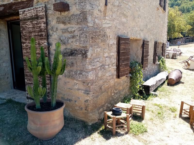 Des plantes grasses en location décorent la terrasse.
