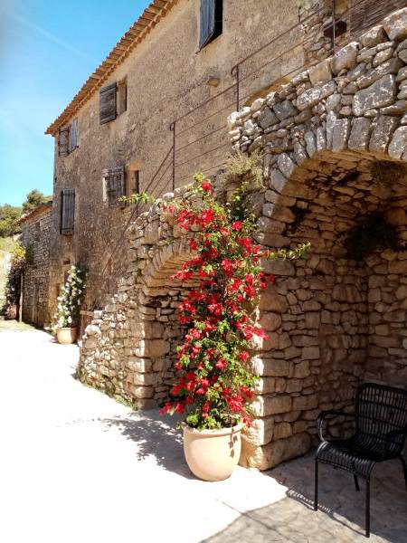 Création florale et végétale en location pour le film Ruma la vie tournage dans le Luberon Vaucluse