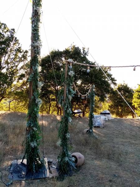 Décorations florales de gypsophiles et d'eucalyptus pour un tournage du mariage du film Rumba la Vie