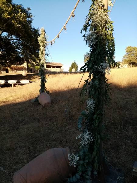 Les pots en terre cuite sont en location.