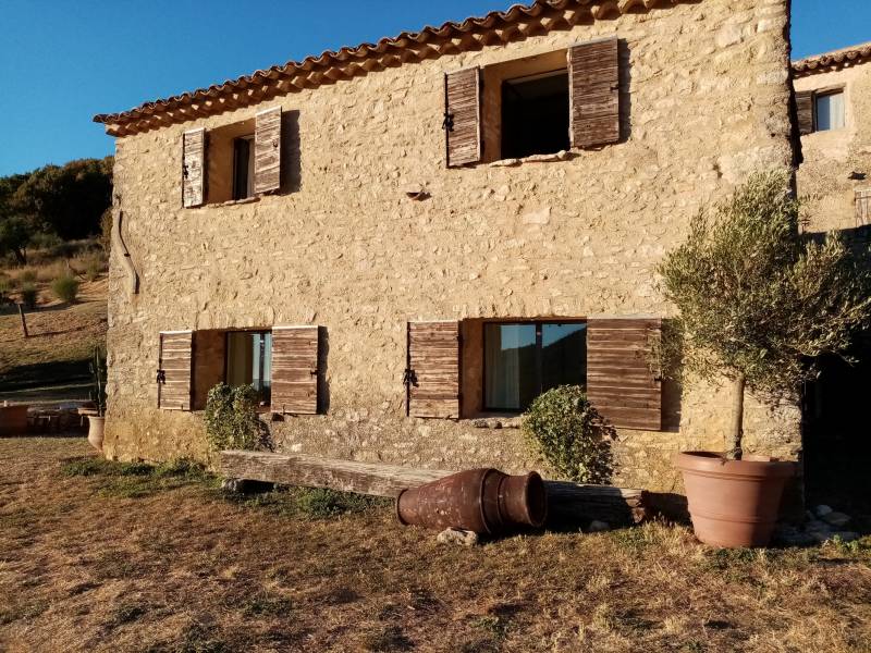 Des oliviers en pots terre en location apportent la note de la Provence