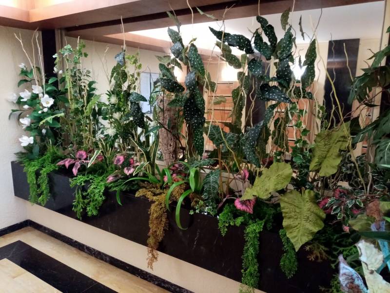 Fleurs et plantes en compositions artificielles pour entreprise