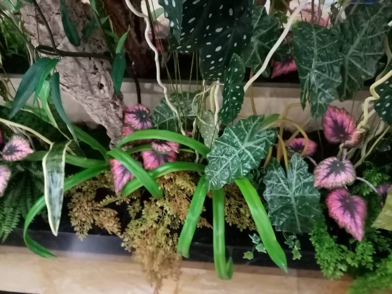 Fleurs et plantes en compositions artificielles pour entreprise