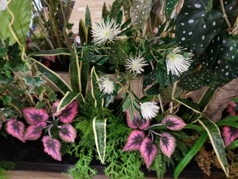 Fleurs et plantes en compositions artificielles pour entreprise